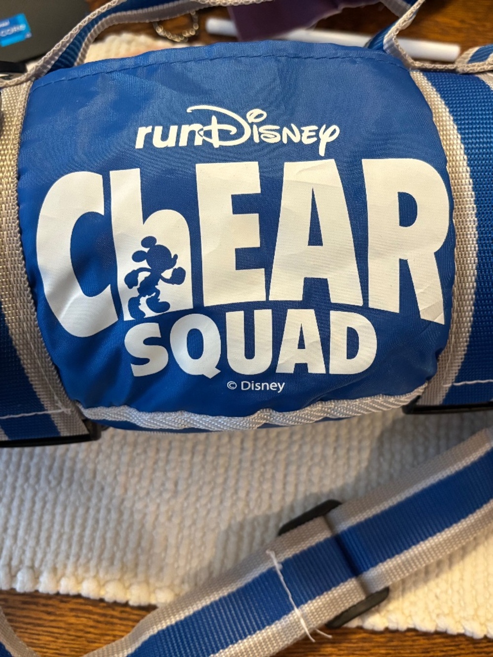 RunDisney Chear Squad Blanket